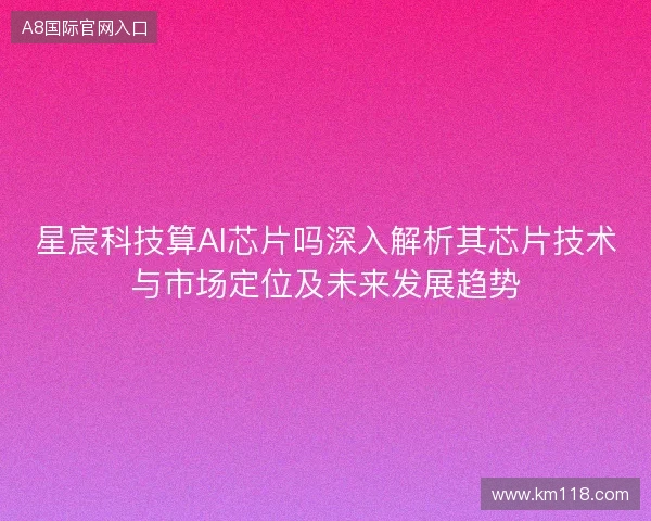 星宸科技算AI芯片吗深入解析其芯片技术与市场定位及未来发展趋势